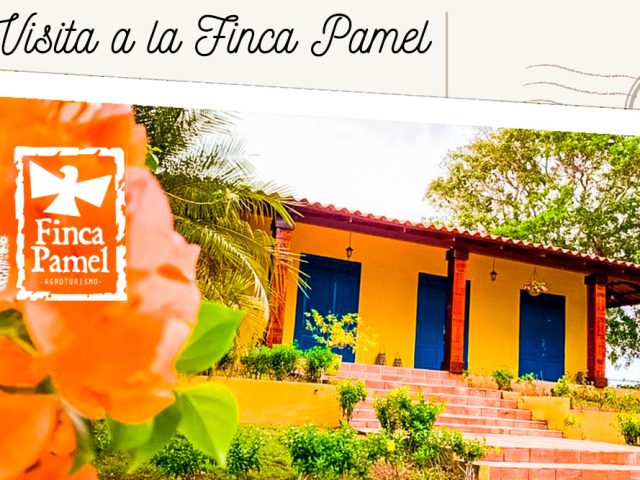 Visitando La Finca Pamel