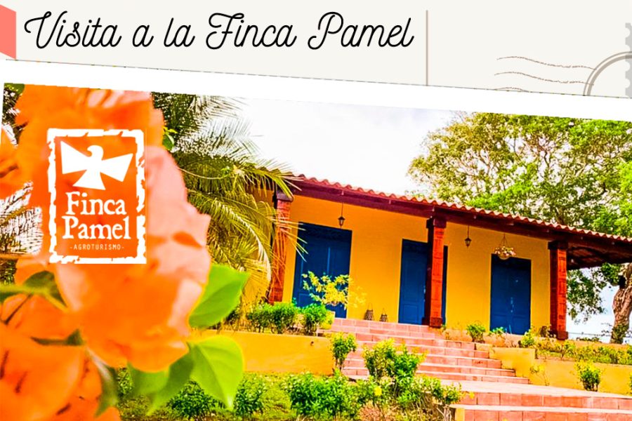 Visitando La Finca Pamel